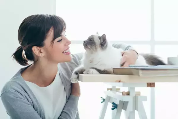 猫が『覚えやすい』人間の言葉5選　意味は通じているの？記憶できる理由まで解説