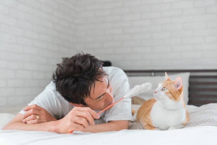 猫が『覚えやすい』人間の言葉5選　意味は通じているの？記憶できる理由まで解説