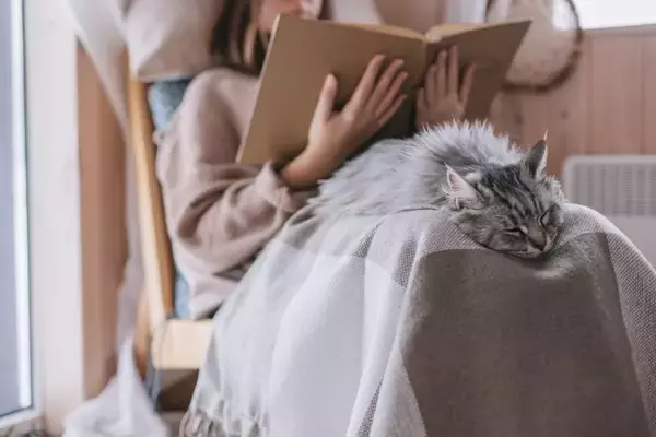 猫が飼い主に『おしりを向けて眠っている』ときの理由5つ　どんな人が見られるの？隠されている心理も解説