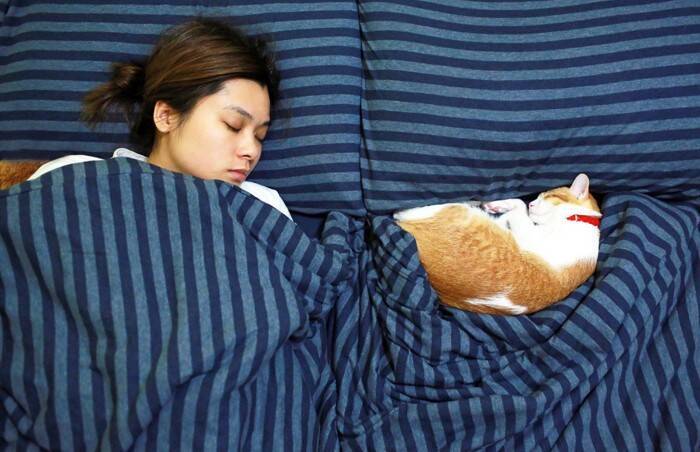 猫が飼い主に『おしりを向けて眠っている』ときの理由5つ　どんな人が見られるの？隠されている心理も解説