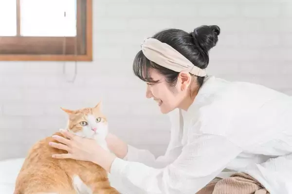猫への愛が強すぎるとやりがちなNG行為6選　その行動が愛猫を困らせているかも…