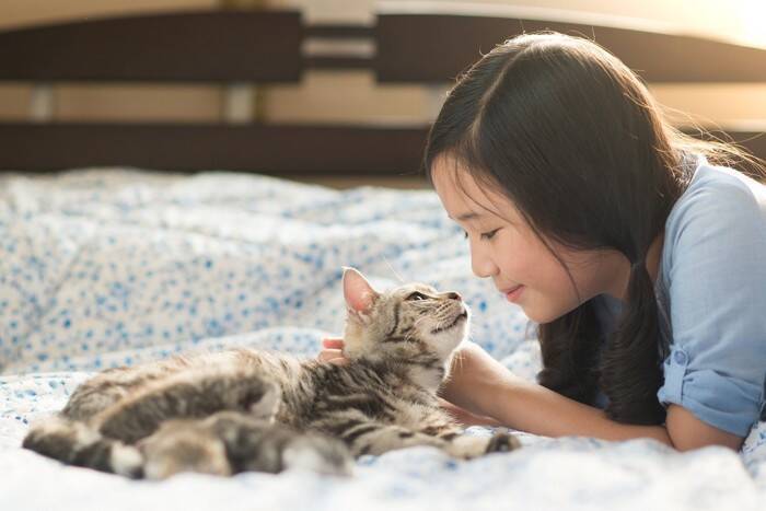 猫が飼い主を『守っている』ときの行動5選　助けようとする理由から上手な応え方まで