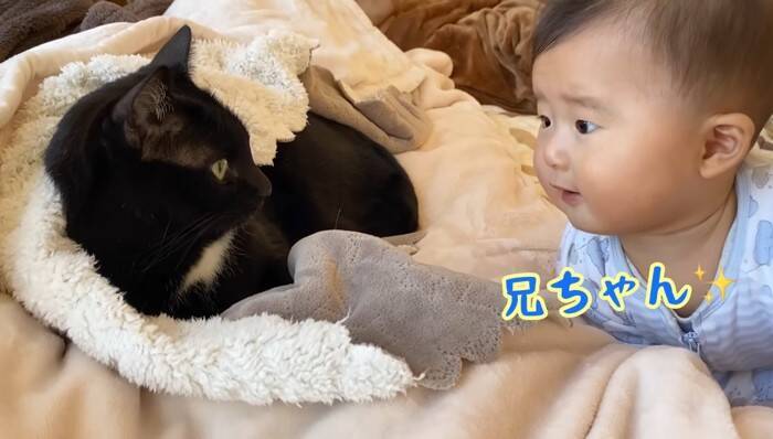 遊びに夢中な赤ちゃん→『体勢を崩して倒れたら、黒猫が…』まさか優しすぎる光景に「ステキな光景」「優しいお兄さん」の声 9万再生突破