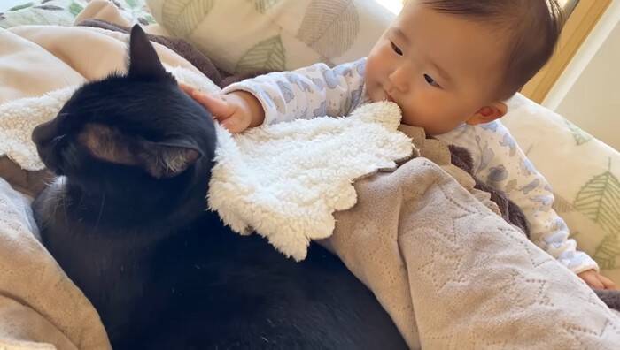 遊びに夢中な赤ちゃん→『体勢を崩して倒れたら、黒猫が…』まさか優しすぎる光景に「ステキな光景」「優しいお兄さん」の声 9万再生突破