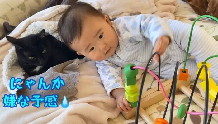 遊びに夢中な赤ちゃん→『体勢を崩して倒れたら、黒猫が…』まさか優しすぎる光景に「ステキな光景」「優しいお兄さん」の声 9万再生突破