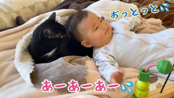 遊びに夢中な赤ちゃん→『体勢を崩して倒れたら、黒猫が…』まさか優しすぎる光景に「ステキな光景」「優しいお兄さん」の声 9万再生突破
