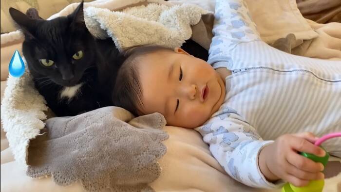 遊びに夢中な赤ちゃん→『体勢を崩して倒れたら、黒猫が…』まさか優しすぎる光景に「ステキな光景」「優しいお兄さん」の声 9万再生突破