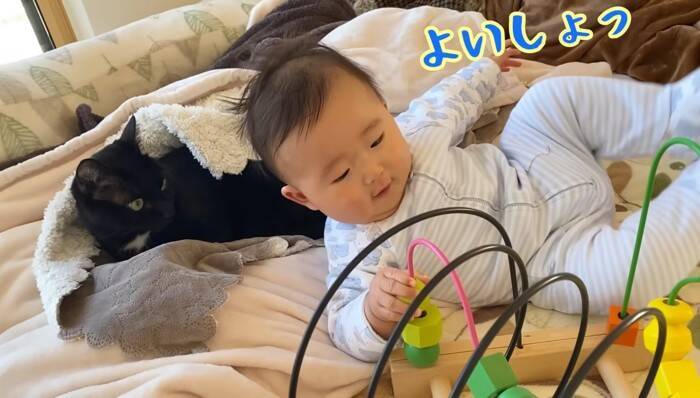 遊びに夢中な赤ちゃん→『体勢を崩して倒れたら、黒猫が…』まさか優しすぎる光景に「ステキな光景」「優しいお兄さん」の声 9万再生突破