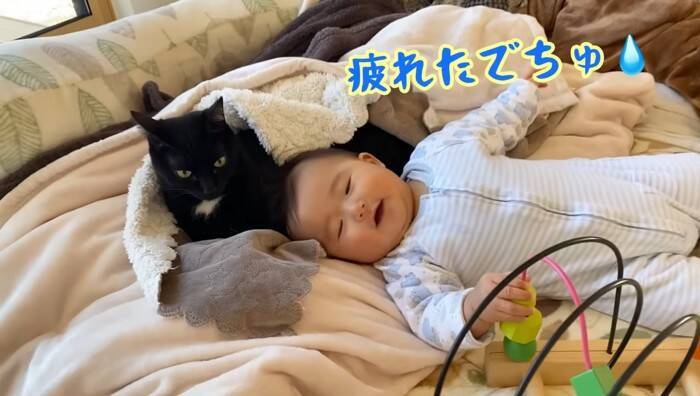 遊びに夢中な赤ちゃん→『体勢を崩して倒れたら、黒猫が…』まさか優しすぎる光景に「ステキな光景」「優しいお兄さん」の声 9万再生突破