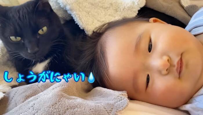 遊びに夢中な赤ちゃん→『体勢を崩して倒れたら、黒猫が…』まさか優しすぎる光景に「ステキな光景」「優しいお兄さん」の声 9万再生突破