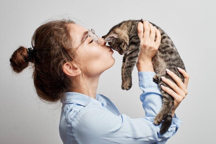 さすがの猫パワー！　やさしくフワフワな「セラピー猫」とのふれあいで、期末試験のストレスもすっかり解消ニャン！　米国