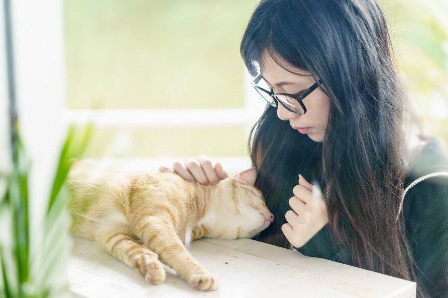 さすがの猫パワー！　やさしくフワフワな「セラピー猫」とのふれあいで、期末試験のストレスもすっかり解消ニャン！　米国