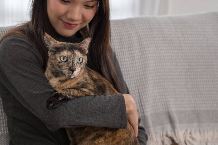 猫の性格は『毛色や模様』によって決まるの？5つのタイプ別の特徴や遺伝の仕組みまで