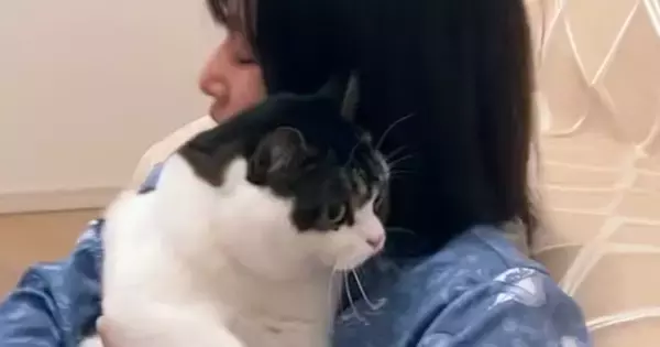 酔っ払いのママに『近づいてしまった猫』→捕まってしまい…笑ってしまう光景が35万再生「顔が本当に好きすぎる」「離れて見守ってるｗ」