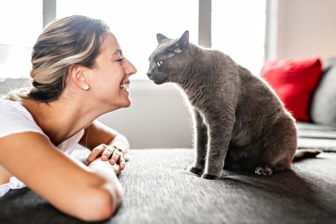 猫はどのように『飼い主と他人』を見分けているの？5つの判別ポイントや方法を解説