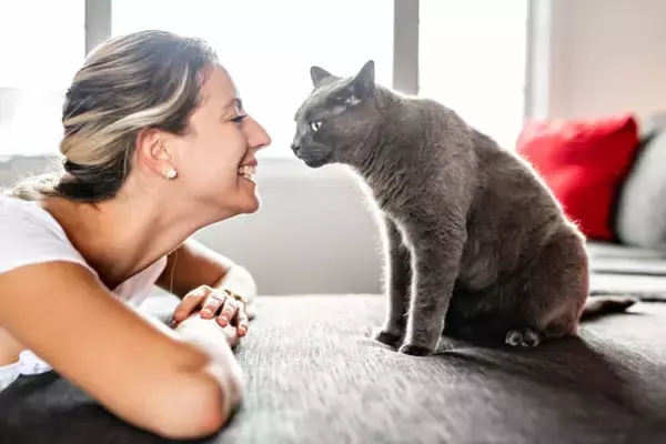 猫はどのように『飼い主と他人』を見分けているの？5つの判別ポイントや方法を解説