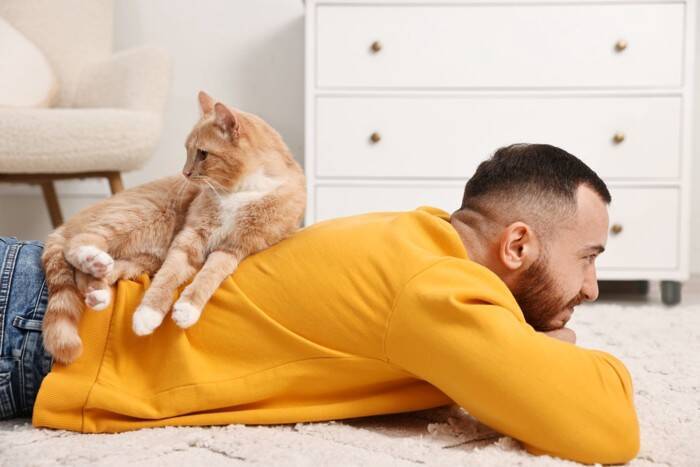 猫はどのように『飼い主と他人』を見分けているの？5つの判別ポイントや方法を解説