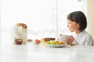 猫がやりかねない『想定外の問題行動』4選　油断できない理由や思わぬ事故の予防策
