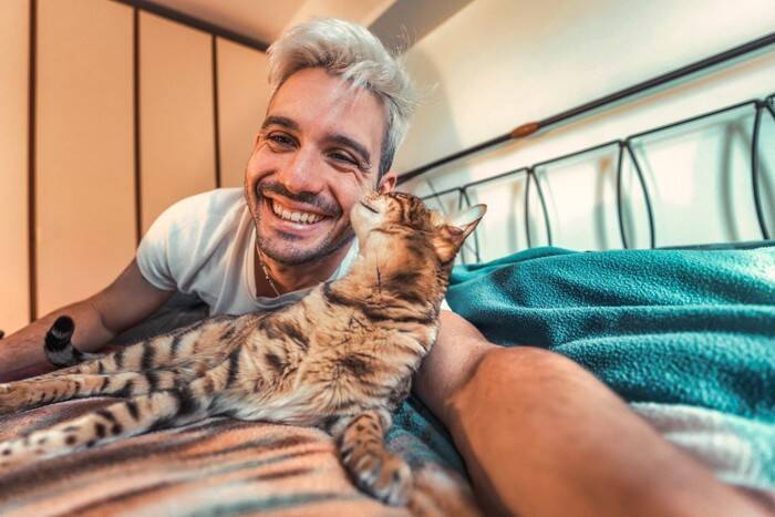 猫が『話しかけてくる』ときの理由5つ　伝えたいことがあるの？上手な応え方まで