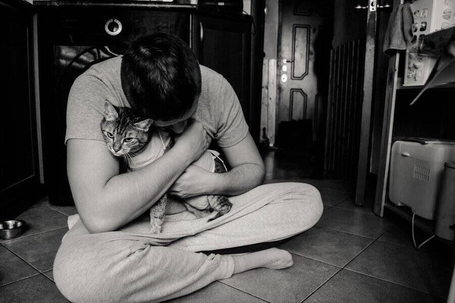 ショック！　「卓越した血統」をひく美しい子猫が医療ミスにより死去　飼い主は病院を相手に訴訟に踏み切る　中国