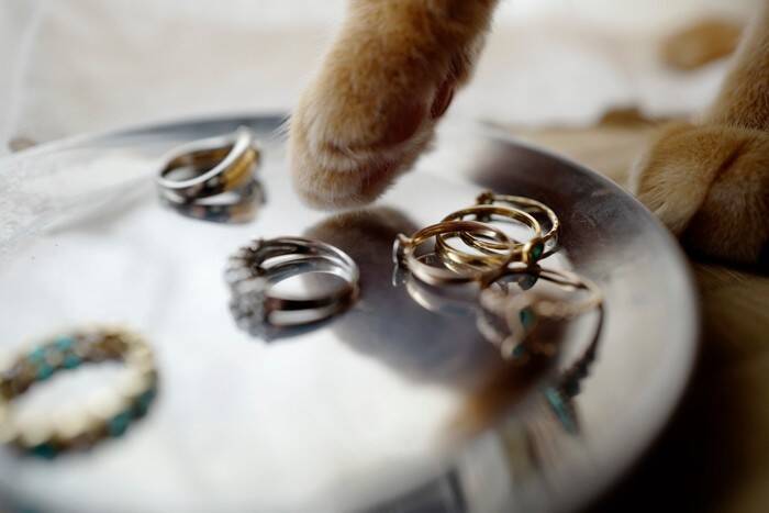 猫が飼い主の『お出かけを止めたい』にみせる行動5選　阻止したがる心理から対処法まで