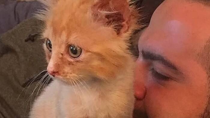 数日で力尽きると思われた子猫が驚きの回復！小さな体で必死に戦う姿に感涙