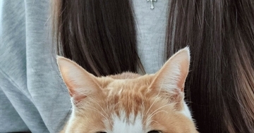 帰省した娘さんに『抱っこされる猫』→表情を見ると……可愛すぎて笑ってしまう瞬間に４万いいね「見てるだけかよって聞こえる」「たまらん」