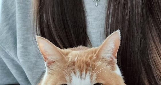 帰省した娘さんに『抱っこされる猫』→表情を見ると……可愛すぎて笑ってしまう瞬間に４万いいね「見てるだけかよって聞こえる」「たまらん」