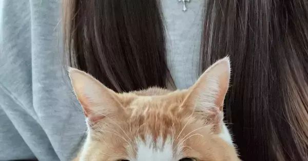 帰省した娘さんに『抱っこされる猫』→表情を見ると……可愛すぎて笑ってしまう瞬間に４万いいね「見てるだけかよって聞こえる」「たまらん」