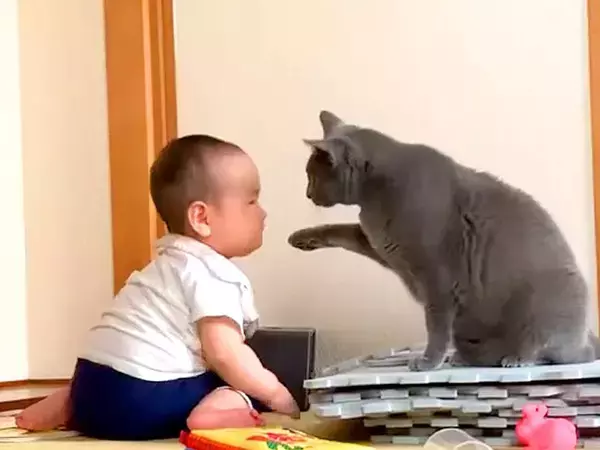 赤ちゃんと一緒にいるネコ→そばで見守っているかのようで…とんでもなく癒される『寄り添う様子』に「偉いね」「かわいい」と反響集まる