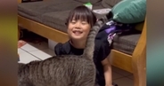 ホームステイ先の猫と仲良くなりたくて…『4歳の女の子』がとった素敵な行動が309万再生「めちゃめちゃ癒された」「すごいお利口」