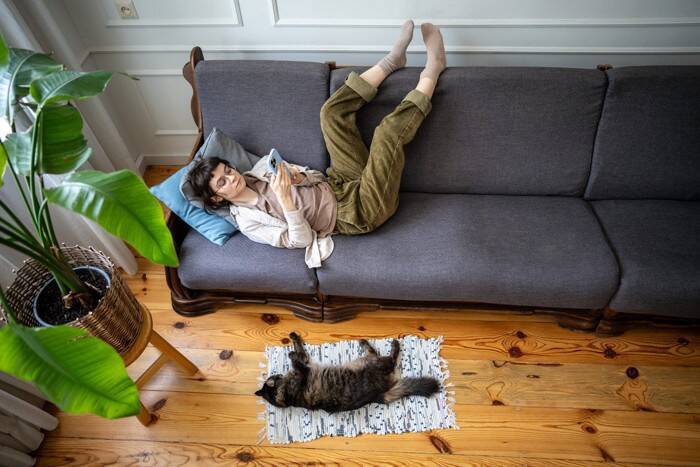 【2月22日は猫の日】猫と一緒に過ごすアイデア4つ　愛猫のためになる時間を過ごそう