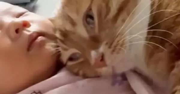 腕の中で眠る赤ちゃん→そばで猫も寝始めて……可愛すぎる『お昼寝中の様子』に「天使しかいない」「天国に迷い込んだかと思った」と悶絶の声