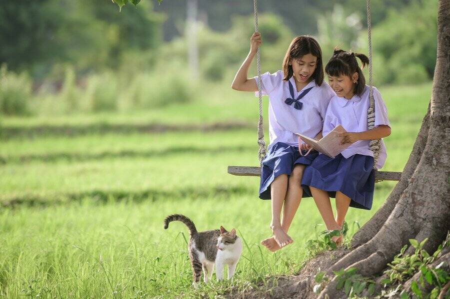 保護猫に中学生が「読み聞かせ」　生徒の読み書き能力向上にも一役　ガーンジー島