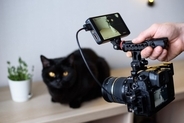 猫のことが大好きな『有名人』5選　愛猫家として知られるエピソードや活動内容などをご紹介