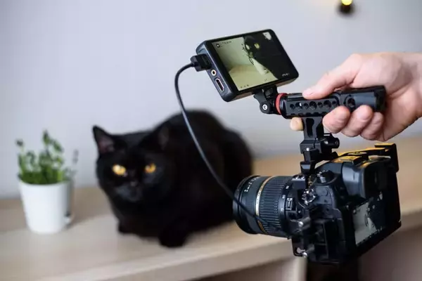 猫のことが大好きな『有名人』5選　愛猫家として知られるエピソードや活動内容などをご紹介