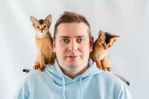 猫が飼い主の『肩に乗ろうとする』ときの理由3選　考えられる心理や適切な対応方法も解説