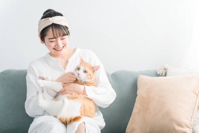 猫が安心できる『距離感』のポイント4つ　やりがちなNG行動や上手な接し方も解説