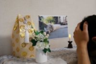 天国に渡った猫が『望んでいない』飼い主の行動3つ　愛猫が心配していることや悲しみと向き合う方法