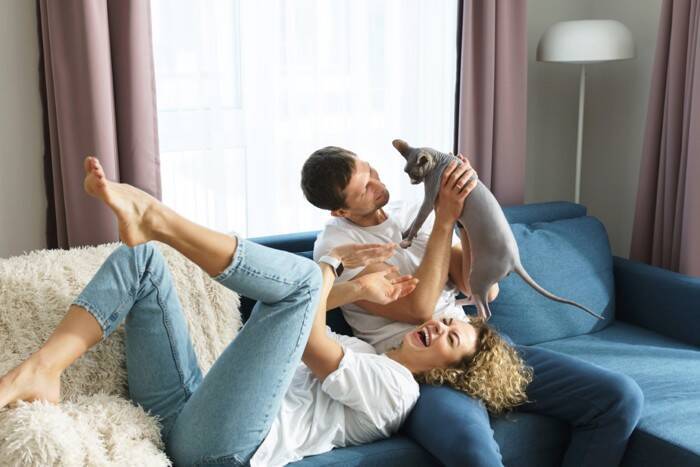 天国に渡った猫が『望んでいない』飼い主の行動3つ　愛猫が心配していることや悲しみと向き合う方法