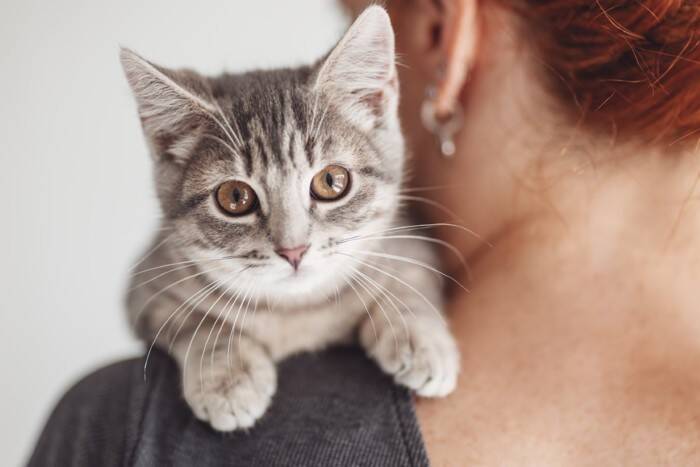 猫と暮らしてから気付く『理想と現実』のギャップ4選　想像以上に大変？飼う前に備えておくべき心得