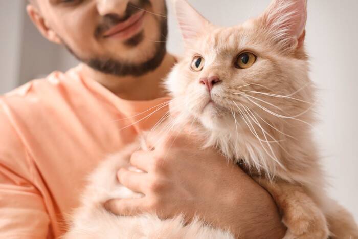 猫と暮らしてから気付く『理想と現実』のギャップ4選　想像以上に大変？飼う前に備えておくべき心得