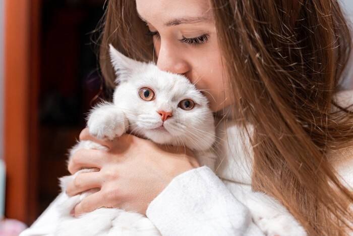 猫が『喉をゴロゴロ鳴らさなくなった』ときの理由4つ　心身に不調が隠れている可能性も…