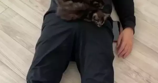 『子猫たちがやけに静かだな』と思ったら、『パパの上』で……まさかの瞬間に４万いいね「夢のような光景ｗ」「なんて素敵な場面ｗ」と反響