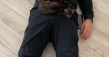 『子猫たちがやけに静かだな』と思ったら、『パパの上』で……まさかの瞬間に４万いいね「夢のような光景ｗ」「なんて素敵な場面ｗ」と反響