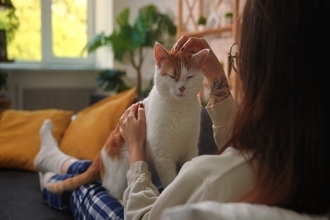 猫が『お風呂上がりの人』に寄ってくる理由5つ　どんな目的があるの？上手な応え方まで
