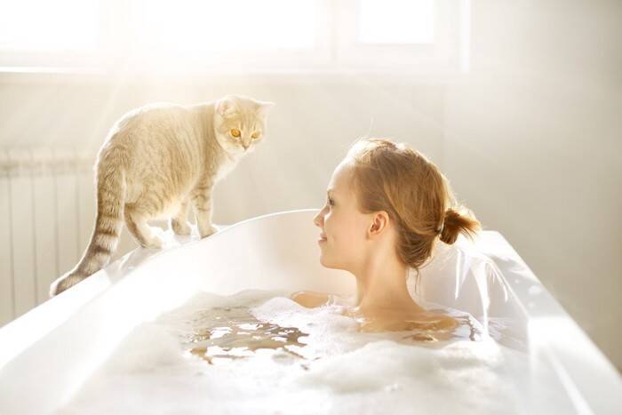 猫が『お風呂上がりの人』に寄ってくる理由5つ　どんな目的があるの？上手な応え方まで