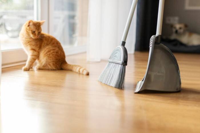 猫の『突然死』を招く4つの原因　年齢に関わらないリスクや起こさないための予防法