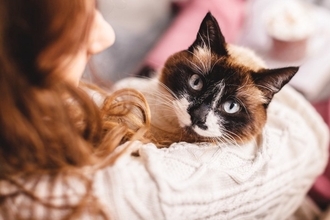 猫に『依存しすぎる』と起こりうるトラブル5つ　愛猫への悪影響や正しい関わり方も解説