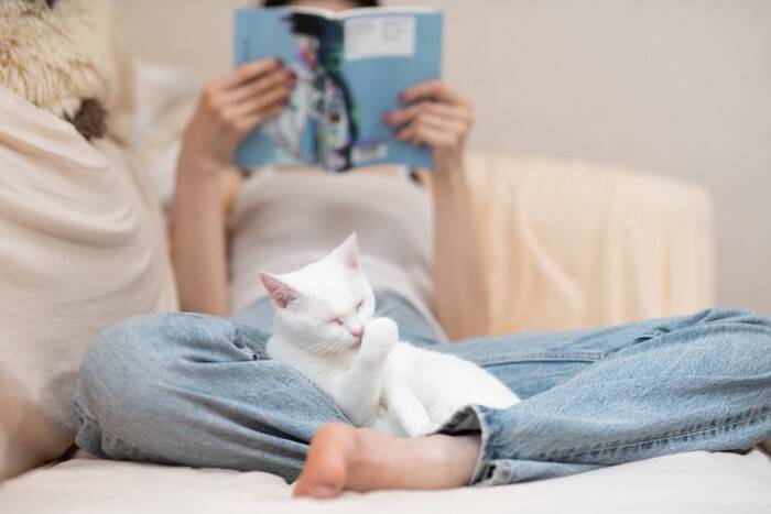 猫に『依存しすぎる』と起こりうるトラブル5つ　愛猫への悪影響や正しい関わり方も解説
